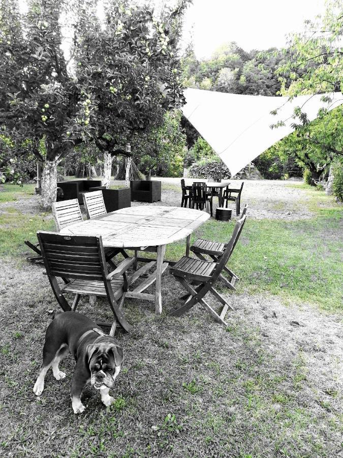 Escapade Champetre Bed and Breakfast Hauteville-sur-Fier Exteriör bild